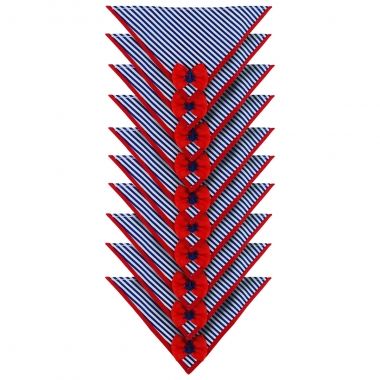 Bandana Essencial Macho Nutico 10 Un 
