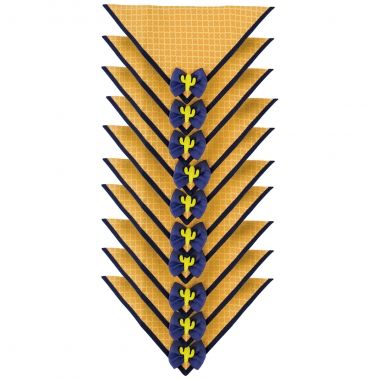 Bandana Essencial Macho Colmeia 10 Un 