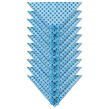 Bandana Essencial Macho Lacinho Azul 10 Un	