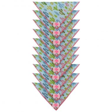 Bandana Essencial Fmea Cacto Rosa com 10 Un