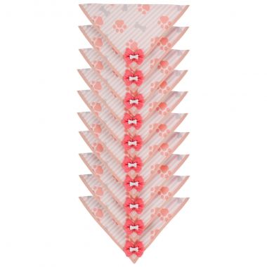 Bandana Essencial Fmea Osso Rosa 10 Un	