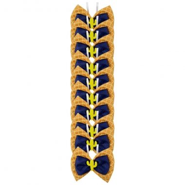 Borboleta Essencial Macho Colmeia 10 Un