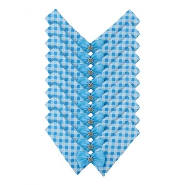 Gola Essencial Macho Lacinho Azul 10 Un	