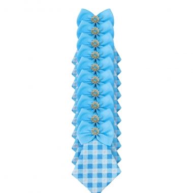 Gravata Essencial Macho Lacinho Azul 10 Un	