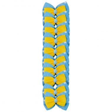 Lao Essencial Macho Estrela Azul 10 Un