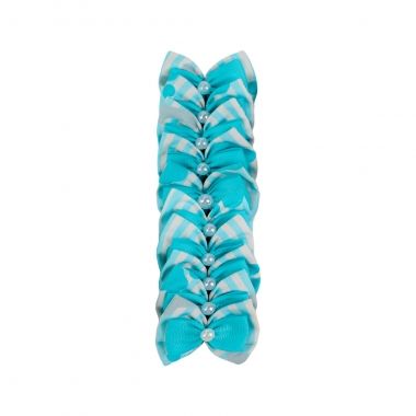 Lao Essencial Macho Osso Azul 10 Un	