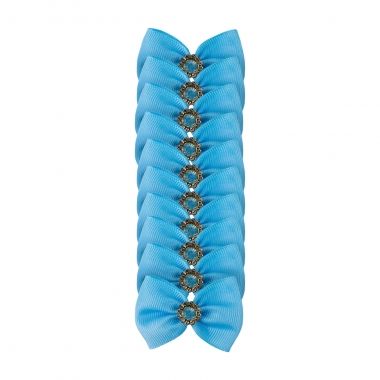 Lao Essencial Fita Macho Lacinho Azul 10 Un	