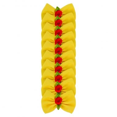 Lao Essencial Princesa Amarelo 10un