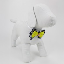 Borboleta pra Cachorro 