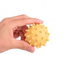 bola para cachorro