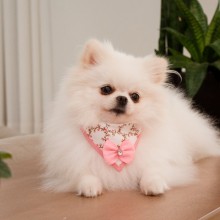 Bandana pra Cachorro 